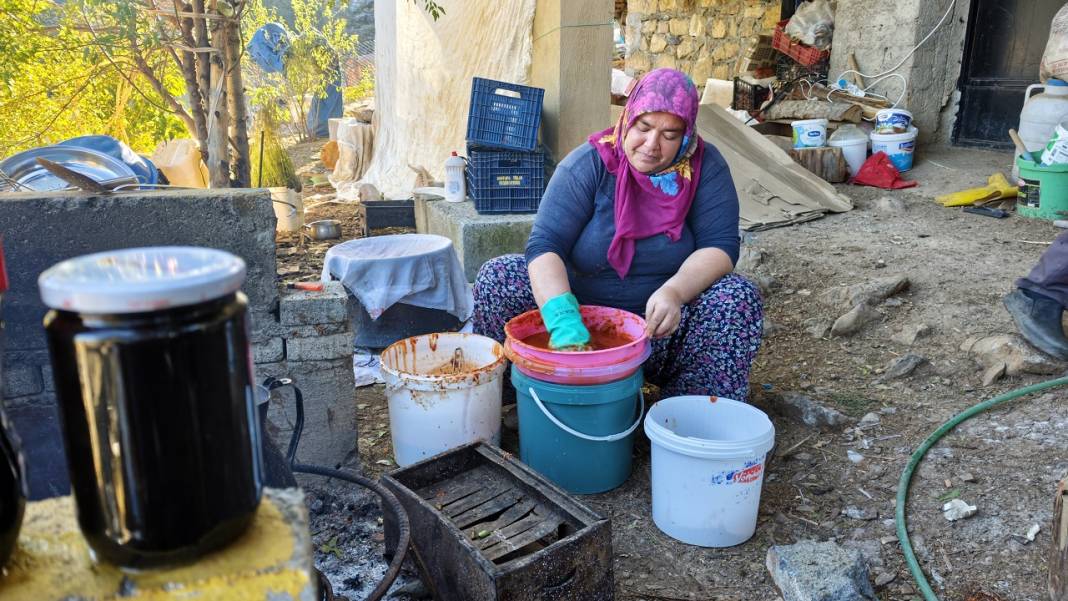 Toroslar'da tatlı ve şifalı telaş! Kuşburnu ve keçiboynuzu için ter döküyorlar 6